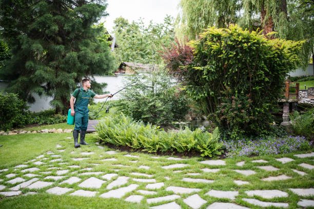 Best Affordable Pest Control Services  in East Norwich, NY