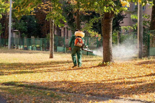 Best Wasp Removal Services  in East Norwich, NY