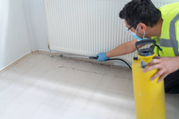 Best Residential Pest Control  in East Norwich, NY